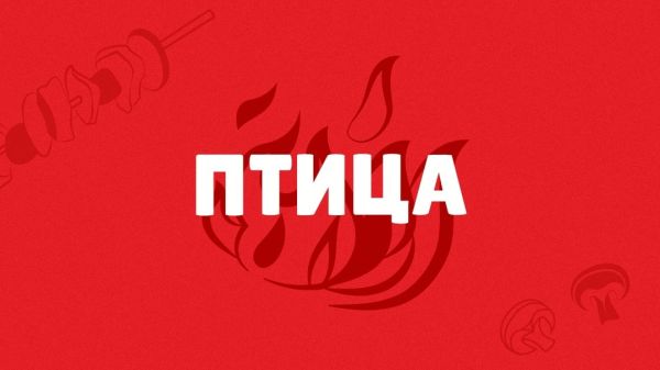 Птица